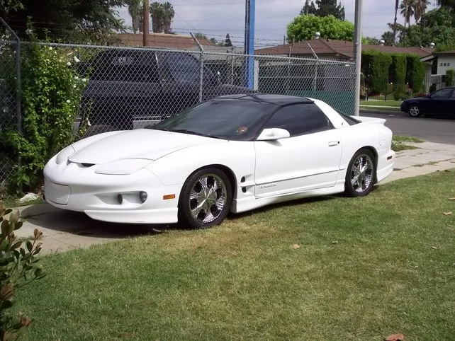 V6 Firebird lowering springs