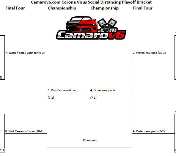 Surviving Covid 19 championship