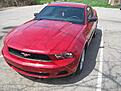 Click image for larger version

Name:	2010_mustang 004.jpg
Size:	94.8 KB
ID:	1536442