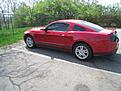 Click image for larger version

Name:	2010_mustang 005.jpg
Size:	93.8 KB
ID:	1536443